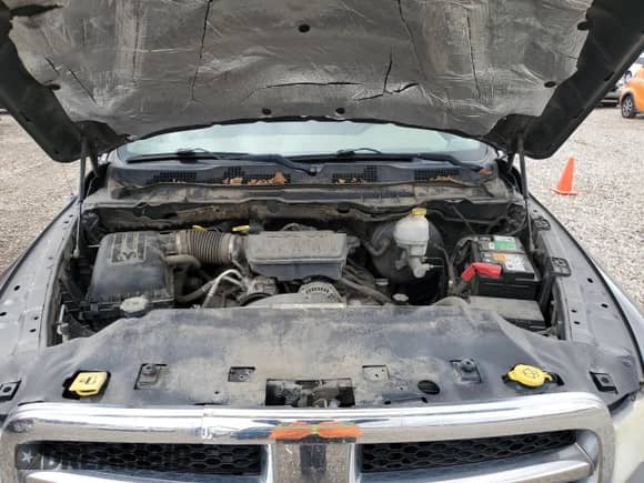 2011 Ram 1500 ST with VIN 1D7RV1CP1BS683864, listed as a Copart auction lot 79307054 with 96,067 mi miles and Salvage title. Bid and sale history available at DreamBid. Image 13.