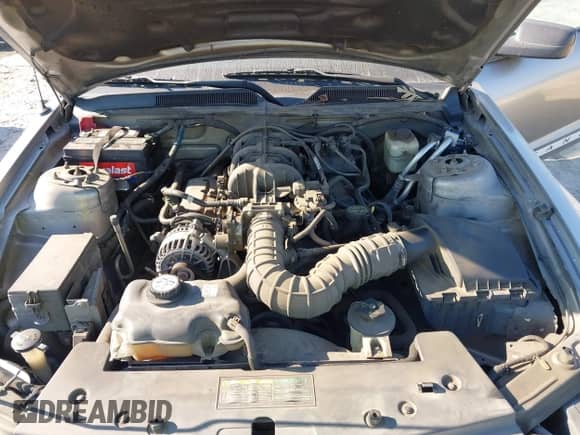 2008 Ford Mustang Deluxe with VIN 1ZVHT80N385127292, listed as a IAAI auction lot 43233810 with 216,162 mi miles and . Bid and sale history available at DreamBid. Image 10.