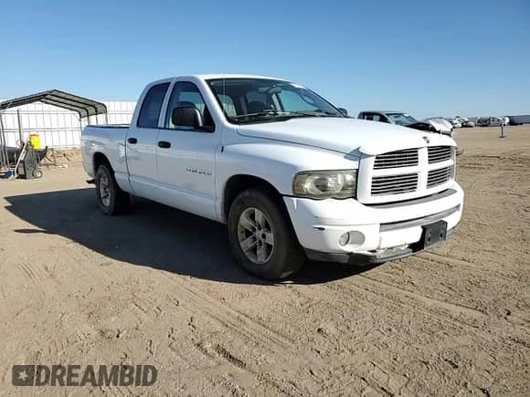 2003 Dodge 1500 ST z VIN 1D7HA18N03S167558, wystawiony jako Copart lot #81855995 z przebiegiem 209 707 mil mil oraz Szkoda całkowita • Salvage title. Historia ofert i sprzedaży dostępna na DreamBid. Obrazek 13.