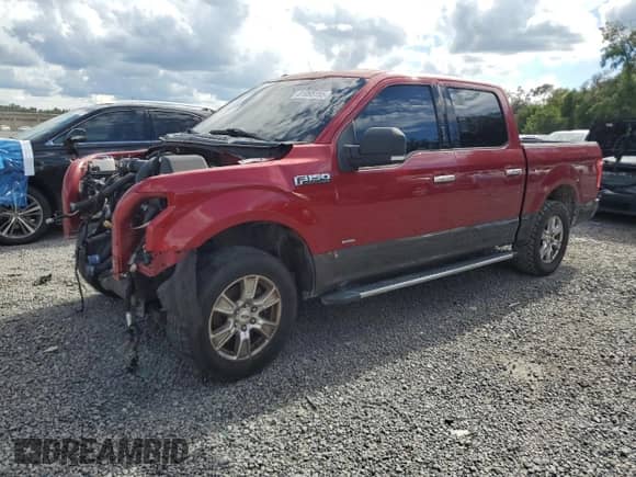 2017 Ford F-150 XL z VIN 1FTEW1CP9HKC51814, wystawiony jako Copart lot #81095155 z przebiegiem Nie podano mil oraz Czysty tytuł • Clean title. Historia ofert i sprzedaży dostępna na DreamBid. Obrazek 1.