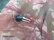 1997 Jeep Wrangler with VIN 1J4FY29T4VP528423, listed as a IAAI auction lot 43274795 with 88,346 mi miles and . Bid and sale history available at DreamBid. Image 11.