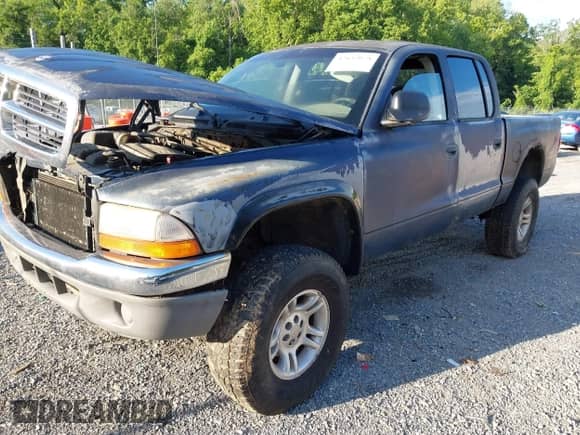 2002 Dodge Dakota SLT with VIN 1B7HG48N82S682686, listed as a IAAI auction lot 42632078 with Not provided miles and . Bid and sale history available at DreamBid. Image 2.