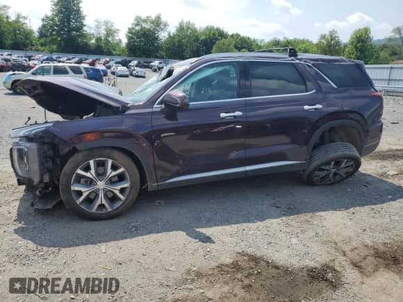 2021 Hyundai Palisade SEL with VIN KM8R3DHE4MU267495, listed as a Copart auction lot 59727554 with 79,764 mi miles and Salvage title. Bid and sale history available at DreamBid. Image 1.