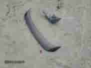 2015 Nissan Altima S with VIN 1N4AL3AP8FN364533, listed as a Copart auction lot 69095795 with 173,561 mi miles and Salvage title. Bid and sale history available at DreamBid. Image 12.