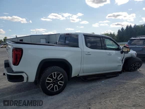 2019 GMC Sierra 1500 AT4 with VIN 1GTP9EED7KZ160145, listed as a Copart auction lot 72078375 with 120,252 mi miles and Salvage title. Bid and sale history available at DreamBid. Image 3.