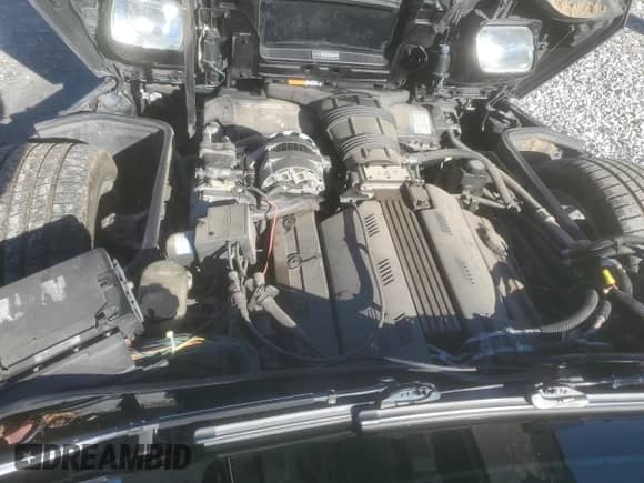 1993 Chevrolet Corvette with VIN 1G1YY23P2P5100106, listed as a Copart auction lot 80631194 with 144,981 mi miles and Salvage title. Bid and sale history available at DreamBid. Image 13.