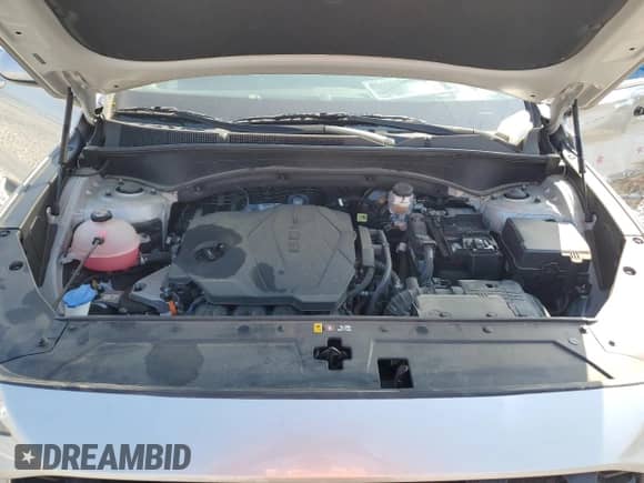 2021 Hyundai Santa Fe SE с VIN 5NMS14AJ8MH368887, выставлен на аукционе Copart как лот 70666135 с пробегом 36 249 миль миль и Списание • Salvage title. История ставок и продаж доступна на DreamBid. Изображение 12.