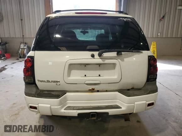 2007 Chevrolet TrailBlazer LS with VIN 1GNDT13S972225213, listed as a Copart auction lot 84185255 with 163,344 mi miles and Salvage title. Bid and sale history available at DreamBid. Image 6.