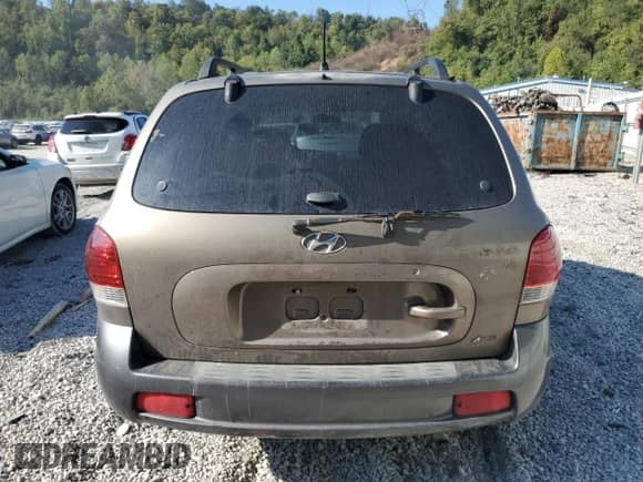 2005 Hyundai Santa Fe GLS with VIN KM8SC73D65U906852, listed as a Copart auction lot 81084895 with 123,279 mi miles and Salvage title. Bid and sale history available at DreamBid. Image 6.