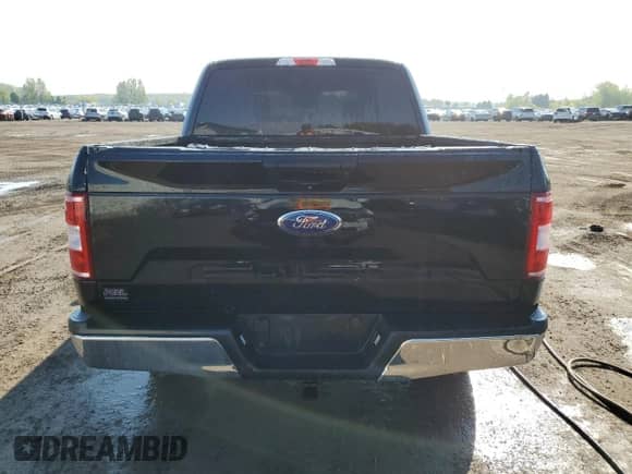 2019 Ford F-150 XL with VIN 1FTEW1EB2KKD01753, listed as a Copart auction lot 57059125 with 196,928 mi miles and Clean title. Bid and sale history available at DreamBid. Image 6.