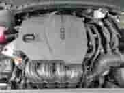 2024 Hyundai Santa Cruz SE с VIN 5NTJADAE2RH080860, выставлен на аукционе Copart как лот 86791885 с пробегом 12 505 миль миль и Списание • Salvage title. История ставок и продаж доступна на DreamBid. Изображение 13.