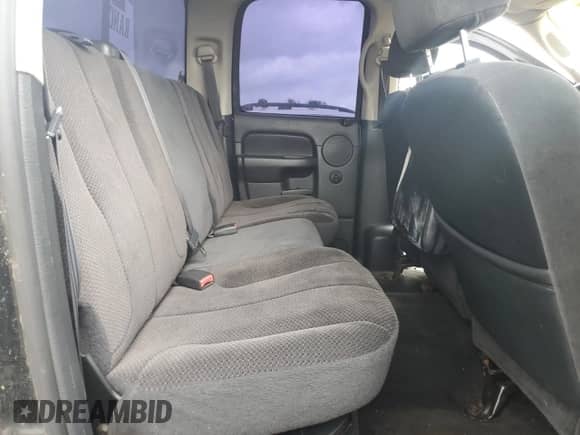 2002 Dodge 1500 z VIN 1D7HA18N72S704912, wystawiony jako Copart lot #55903495 z przebiegiem 174 829 mil mil oraz Czysty tytuł • Clean title. Historia ofert i sprzedaży dostępna na DreamBid. Obrazek 10.