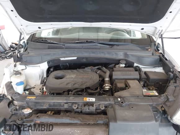 2017 Hyundai Santa Fe Ultimate with VIN 5XYZW4LA4HG462360, listed as a IAAI auction lot 42792002 with 122,145 mi miles and . Bid and sale history available at DreamBid. Image 10.