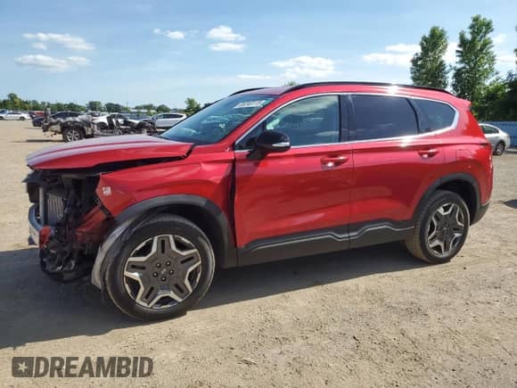 2022 Hyundai Santa Fe with VIN 5NMS3DAL4NH381424, listed as a Copart auction lot 65240115 with 63,091 mi miles and Salvage title. Bid and sale history available at DreamBid. Image 1.