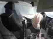 2022 Honda Accord EX-L с VIN 1HGCV3F55NA028401, выставлен на аукционе IAAI как лот 41636247 с пробегом 36 809 миль миль и . История ставок и продаж доступна на DreamBid. Изображение 5.