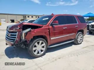2016 Cadillac Escalade Luxury Collection with VIN 1GYS3BKJ0GR317536, listed as a Copart auction lot 65950435 with 104,075 mi miles and Salvage title. Bid and sale history available at DreamBid. Image 1.