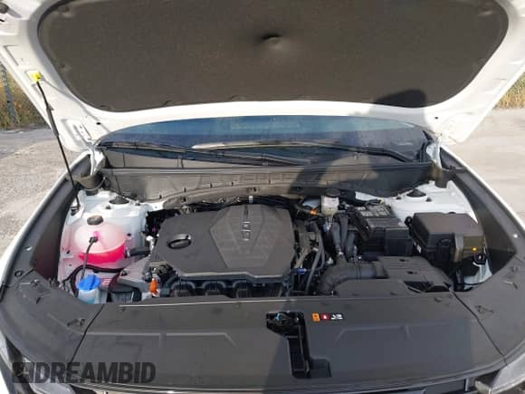 2026 Hyundai Tucson SEL with VIN 5NMJBCDE5TH615458, listed as a IAAI auction lot 43502041 with 1,347 mi miles and . Bid and sale history available at DreamBid. Image 10.