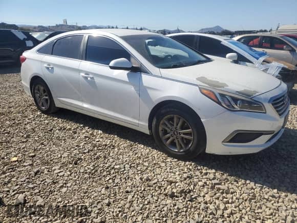 2016 Hyundai Sonata SE with VIN 5NPE24AF2GH271097, listed as a Copart auction lot 81255485 with Not provided miles and Salvage title. Bid and sale history available at DreamBid. Image 4.