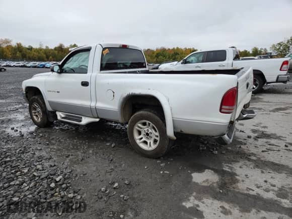 2001 Dodge Dakota with VIN 1B7GG26X31S234049, listed as a Copart auction lot 86814245 with 172,303 mi miles and Salvage title. Bid and sale history available at DreamBid. Image 2.