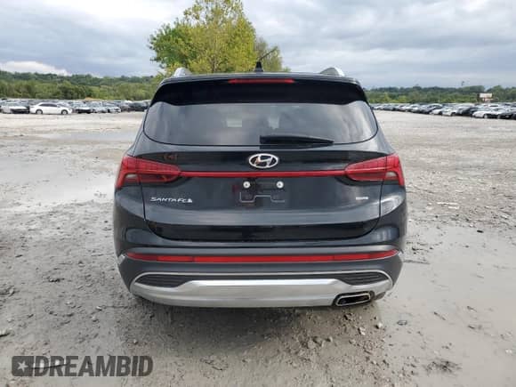 2022 Hyundai Santa Fe SEL с VIN 5NMS3DAJ7NH447849, выставлен на аукционе Copart как лот 81799655 с пробегом 45 333 миль миль и Списание • Salvage title. История ставок и продаж доступна на DreamBid. Изображение 6.