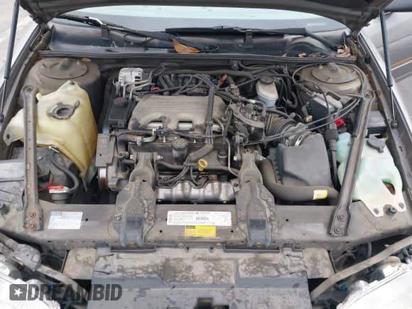 1997 Chevrolet Lumina with VIN 2G1WL52M0V9243876, listed as a IAAI auction lot 42861532 with 92,307 mi miles and . Bid and sale history available at DreamBid. Image 10.