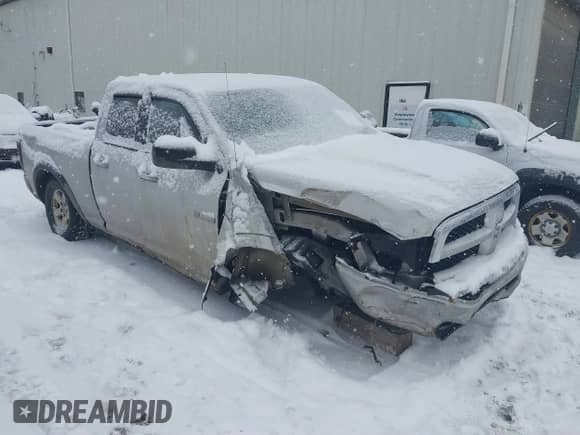 2009 Dodge 1500 SLT with VIN 1D3HV18P49S784882, listed as a IAAI auction lot 41220334 with 209,456 mi miles and . Bid and sale history available at DreamBid. Image 1.