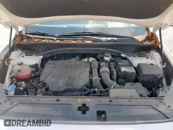 2021 Hyundai Santa Fe Limited with VIN 5NMS44AL8MH320153, listed as a Copart auction lot 66948455 with 39,567 mi miles and Salvage title. Bid and sale history available at DreamBid. Image 12.