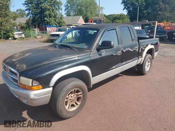 2002 Dodge Dakota SLT with VIN 1B7HG48N22S585368, listed as a Copart auction lot 80277665 with 165,121 mi miles and Clean title. Bid and sale history available at DreamBid. Image 2.