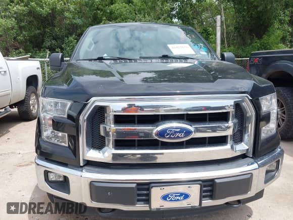 2017 Ford F-150 XL z VIN 1FTFX1EF9HKE25399, wystawiony jako IAAI lot #42422656 z przebiegiem 192 355 mil mil oraz . Historia ofert i sprzedaży dostępna na DreamBid. Obrazek 6.
