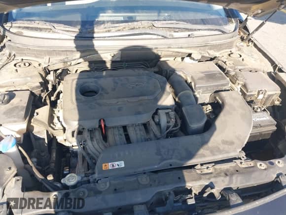 2016 Hyundai Sonata SE с VIN 5NPE24AF5GH359447, выставлен на аукционе IAAI как лот 43247033 с пробегом 123 296 миль миль и . История ставок и продаж доступна на DreamBid. Изображение 10.