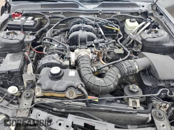 2005 Ford Mustang Deluxe z VIN 1ZVFT80N055202145, wystawiony jako Copart lot #90405085 z przebiegiem 184 465 mil mil oraz Czysty tytuł • Clean title. Historia ofert i sprzedaży dostępna na DreamBid. Obrazek 11.