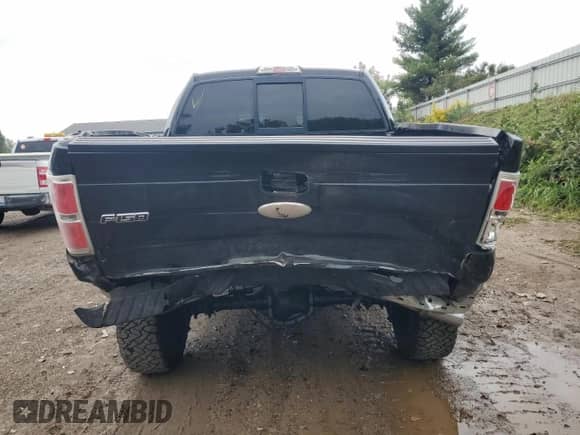 2011 Ford F-150 XLT z VIN 1FTFW1ET0BFB01508, wystawiony jako Copart lot #81420595 z przebiegiem 314 064 mil mil oraz Czysty tytuł • Clean title. Historia ofert i sprzedaży dostępna na DreamBid. Obrazek 6.