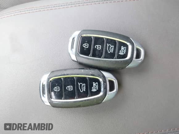 2019 Hyundai Santa Fe Limited with VIN 5NMS53AA4KH061342, listed as a IAAI auction lot 41573631 with 98,498 mi miles and . Bid and sale history available at DreamBid. Image 11.