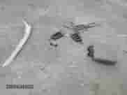 2005 Dodge Dakota SLT with VIN 1D7HW42N55S332907, listed as a Copart auction lot 89501895 with 94,003 mi miles and Salvage title. Bid and sale history available at DreamBid. Image 12.