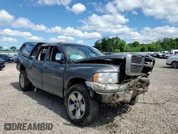 2002 Dodge 1500 с VIN 1D7HU18N02J159732, выставлен на аукционе Copart как лот 64373835 с пробегом 124 895 миль миль и Списание • Salvage title. История ставок и продаж доступна на DreamBid. Изображение 13.