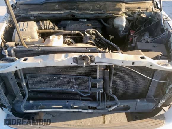 2005 Dodge 1500 SLT с VIN 1D7HA18D85S234126, выставлен на аукционе Copart как лот 69404885 с пробегом 314 540 миль миль и Списание • Salvage title. История ставок и продаж доступна на DreamBid. Изображение 12.