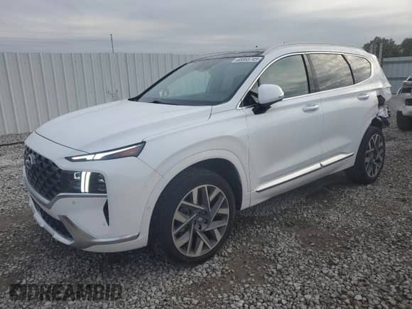 2023 Hyundai Santa Fe Calligraphy z VIN 5NMS5DAL1PH517361, wystawiony jako Copart lot #68865745 z przebiegiem 8 204 mil mil oraz Szkoda całkowita • Salvage title. Historia ofert i sprzedaży dostępna na DreamBid. Obrazek 1.