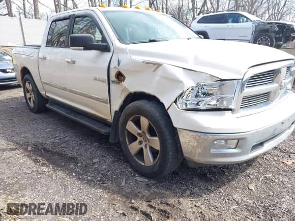 2009 Dodge 1500 SLT z VIN 1D3HV13T19J517175, wystawiony jako IAAI lot #41967182 z przebiegiem 177 668 mil mil oraz . Historia ofert i sprzedaży dostępna na DreamBid. Obrazek 6.