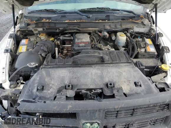 2010 Dodge 2500 SLT with VIN 3D7UT2CL7AG114770, listed as a Copart auction lot 43005915 with 258,690 mi miles and Salvage title. Bid and sale history available at DreamBid. Image 11.