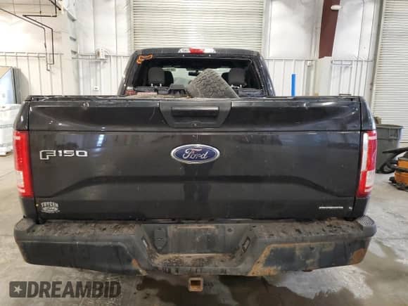 2015 Ford F-150 XLT z VIN 1FTFX1EF8FFA39935, wystawiony jako Copart lot #68185545 z przebiegiem 201 850 mil mil oraz Szkoda całkowita • Salvage title. Historia ofert i sprzedaży dostępna na DreamBid. Obrazek 6.