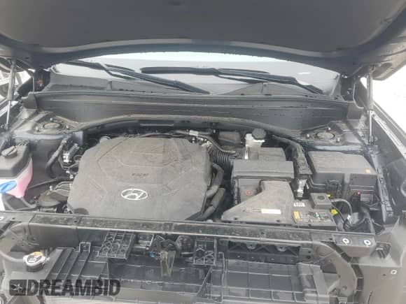 2024 Hyundai Palisade SEL z VIN KM8R4DGE8RU753815, wystawiony jako Copart lot #59325185 z przebiegiem 4 498 mil mil oraz Szkoda całkowita • Salvage title. Historia ofert i sprzedaży dostępna na DreamBid. Obrazek 12.