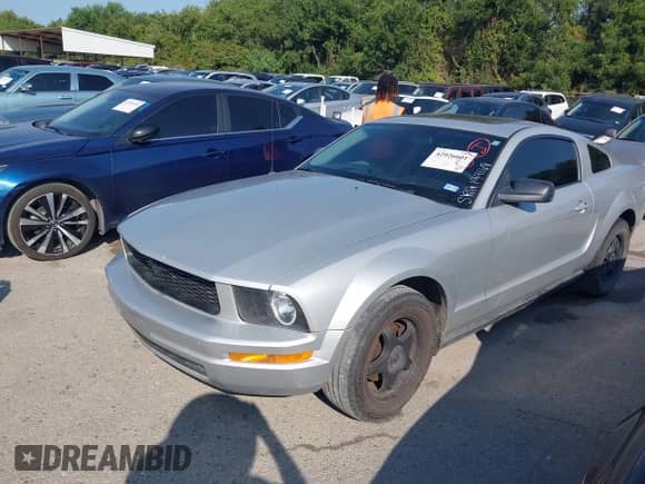 2005 Ford Mustang Deluxe with VIN 1ZVFT80N655199168, listed as a IAAI auction lot 42926601 with 210,892 mi miles and . Bid and sale history available at DreamBid. Image 12.