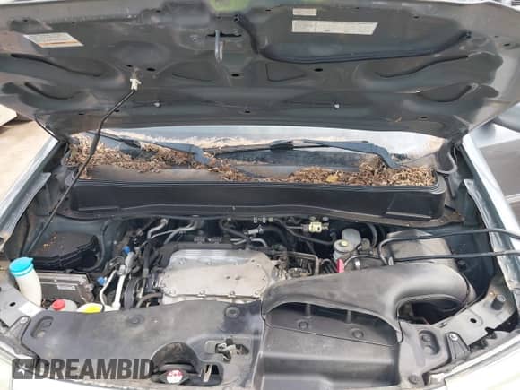 2009 Honda Pilot Touring with VIN 5FNYF48969B031280, listed as a IAAI auction lot 42934690 with 163,844 mi miles and . Bid and sale history available at DreamBid. Image 10.