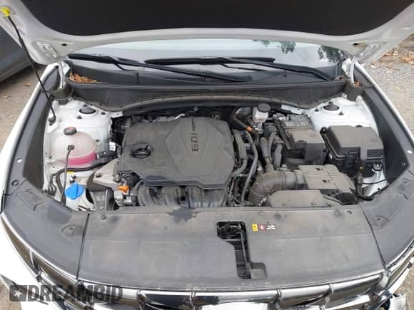 2024 Hyundai Tucson Limited с VIN 5NMJE3DE7RH347433, выставлен на аукционе IAAI как лот 43230428 с пробегом 38 806 миль миль и . История ставок и продаж доступна на DreamBid. Изображение 10.