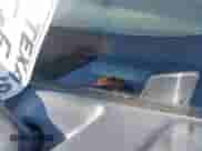 2014 Ford F-150 XLT с VIN 1FTFW1ET9EFB84683, выставлен на аукционе IAAI как лот 42901673 с пробегом 199 237 миль миль и . История ставок и продаж доступна на DreamBid. Изображение 9.