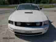 2009 Ford Mustang GT z VIN 1ZVHT85HX95109148, wystawiony jako Copart lot #80126205 z przebiegiem 32 473 mil mil oraz Szkoda całkowita • Salvage title. Historia ofert i sprzedaży dostępna na DreamBid. Obrazek 5.