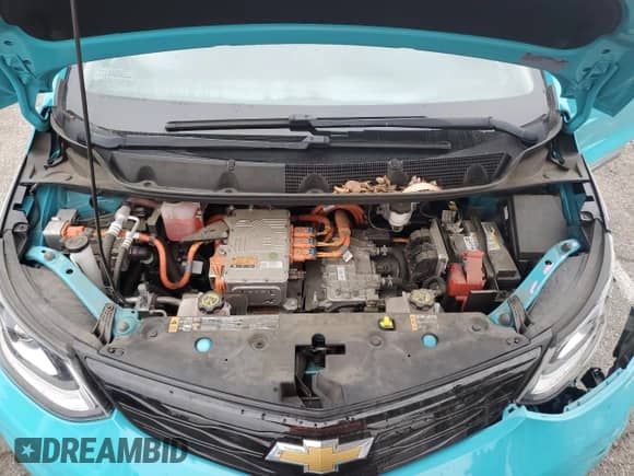 2020 Chevrolet Bolt EV LT z VIN 1G1FW6S01L4116175, wystawiony jako Copart lot #73973563 z przebiegiem 51 231 mil mil oraz . Historia ofert i sprzedaży dostępna na DreamBid. Obrazek 11.