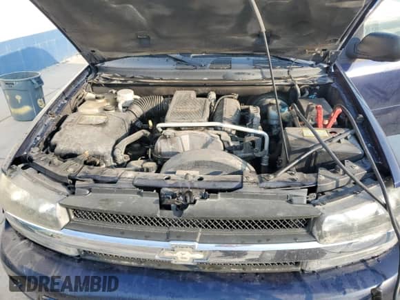 2008 Chevrolet TrailBlazer 2LT with VIN 1GNDS13S382123460, listed as a Copart auction lot 69455015 with 222,721 mi miles and Clean title. Bid and sale history available at DreamBid. Image 12.