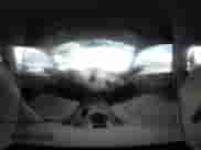 2012 Nissan Frontier SV с VIN 1N6AD0ER3CC446952, выставлен на аукционе IAAI как лот 42194190 с пробегом 77 927 миль миль и . История ставок и продаж доступна на DreamBid. Изображение 18.