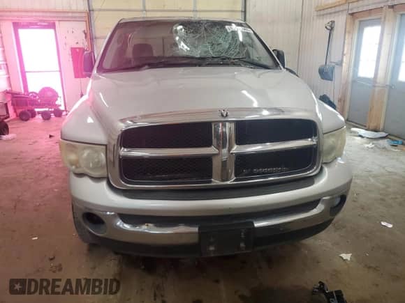 2003 Dodge 1500 ST z VIN 1D7HU18N03S287058, wystawiony jako Copart lot #69013985 z przebiegiem 225 607 mil mil oraz Szkoda całkowita • Salvage title. Historia ofert i sprzedaży dostępna na DreamBid. Obrazek 5.